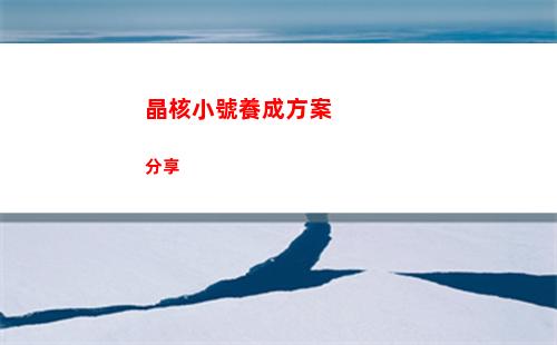 晶核小號養成方案分享