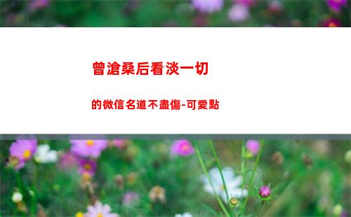 曾滄桑后看淡一切的微信名道不盡傷-可愛點(滄桑又看淡一切的詩句)