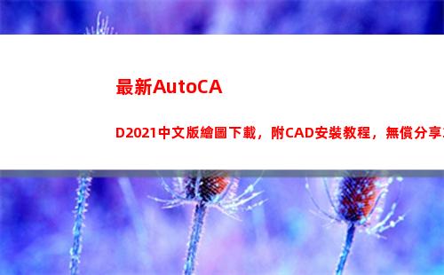 最新AutoCAD2021中文版繪圖下載，附CAD安裝教程，無償分享3天(最新autocad全英文)