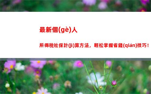 微商個(gè)稅攻略：從此告別煩惱，了解計(jì)算方法！