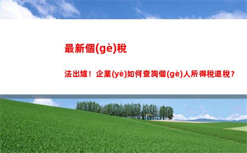 輕松查詢個(gè)人所得稅，省時(shí)省力，快來(lái)試試！