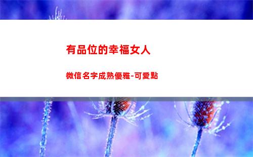 有品位的幸福女人微信名字成熟優雅-可愛點