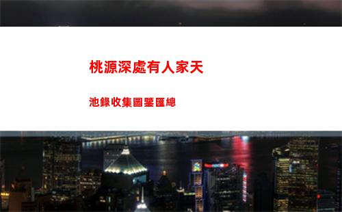 桃源深處有人家天池錄收集圖鑒匯總