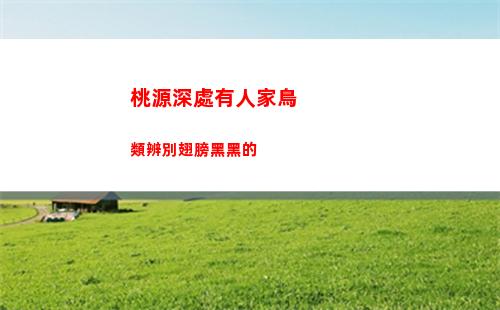 桃源深處有人家鳥類辨別翅膀黑黑的