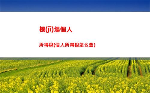 輕松曬稅，享受優(yōu)惠！個人所得稅APP扣費標(biāo)準(zhǔn)一鍵查詢