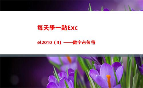 每天學一點Excel2010（4）——數字占位符(每天學一點)