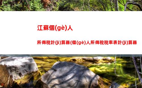 河北個(gè)人所得稅計(jì)算器(2022年個(gè)人所得稅計(jì)算器)