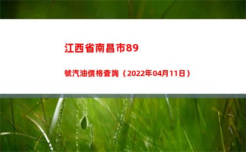 江西省南昌市89號汽油價格查詢（2022年04月11日）