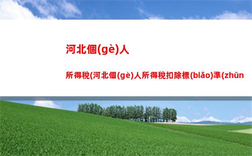 個(gè)人所得稅東北(個(gè)人所得稅東北振興)