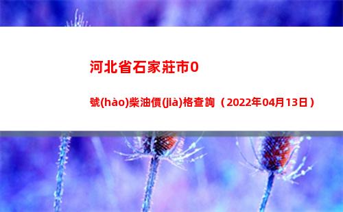 河北省石家莊市0號(hào)柴油價(jià)格查詢（2022年04月13日）