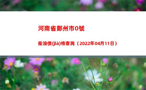 河南省鄭州市0號柴油價(jià)格查詢（2022年04月11日）