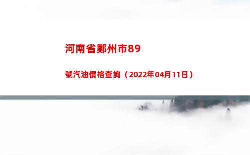 河南省鄭州市89號汽油價格查詢（2022年04月11日）