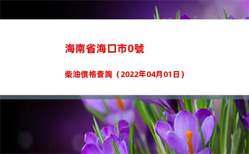 海南省海口市0號柴油價格查詢（2022年04月01日）