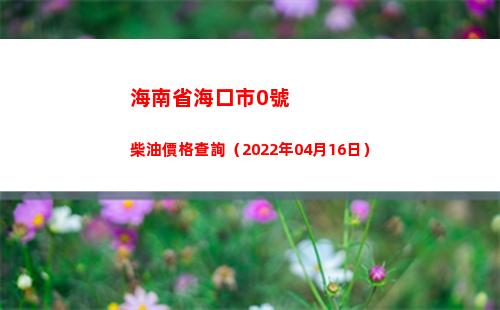 海南省海口市0號柴油價格查詢（2022年04月16日）