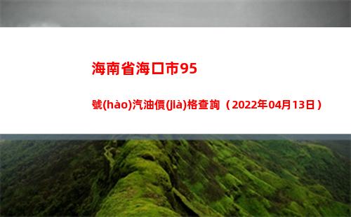 海南省海口市95號(hào)汽油價(jià)格查詢（2022年04月13日）
