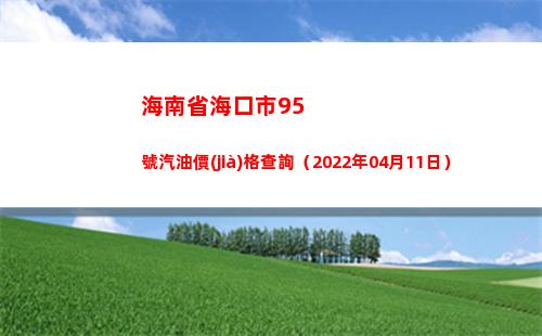 海南省海口市95號汽油價(jià)格查詢（2022年04月11日）