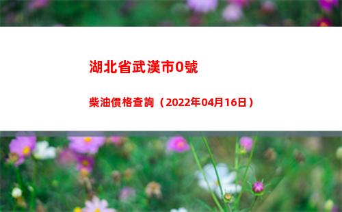 湖北省武漢市0號柴油價格查詢（2022年04月16日）