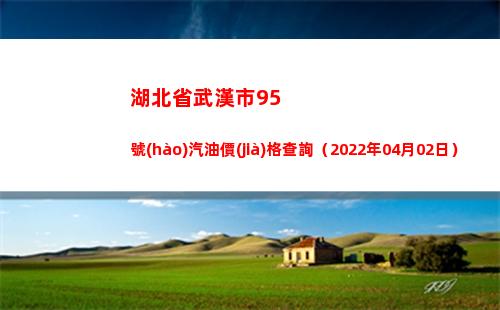 湖北省武漢市95號(hào)汽油價(jià)格查詢（2022年04月02日）
