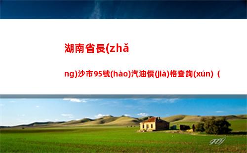 湖南省長(zhǎng)沙市95號(hào)汽油價(jià)格查詢(xún)（2022年04月11日）