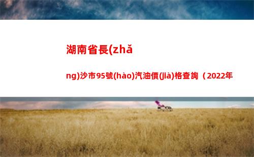 湖南省長(zhǎng)沙市95號(hào)汽油價(jià)格查詢（2022年04月18日）