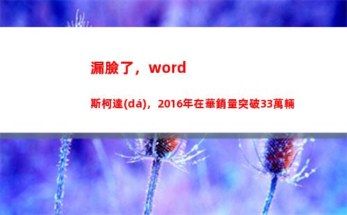 漏臉了，word斯柯達(dá)，2016年在華銷量突破33萬輛(漏臉了 機(jī)智回復(fù))