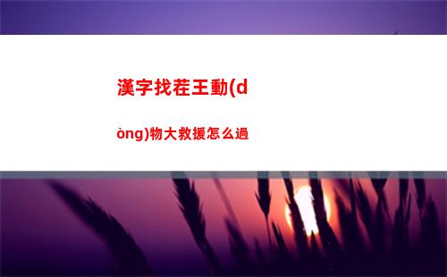環(huán)行旅舍行醫(yī)角色選擇哪個(gè)好