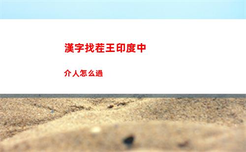漢字找茬王印度中介人怎么過