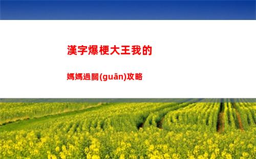 漢字爆梗大王我的媽媽過關(guān)攻略