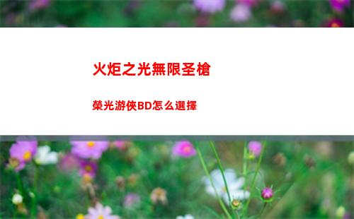火炬之光無限圣槍榮光游俠BD怎么選擇
