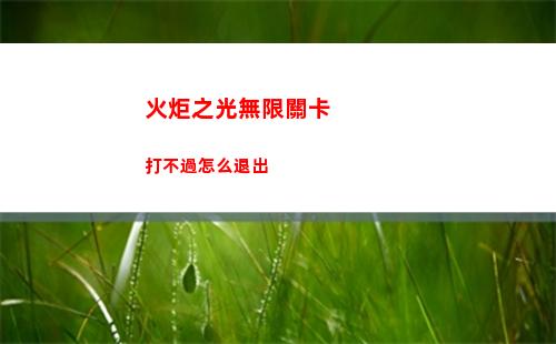 火炬之光無限關卡打不過怎么退出