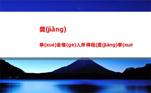 個(gè)人所得稅報(bào)告(個(gè)人所得稅報(bào)告表)