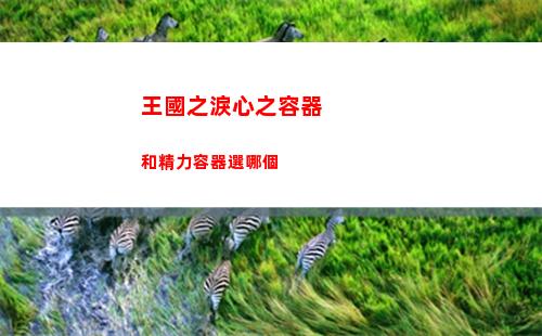 王國之淚心之容器和精力容器選哪個
