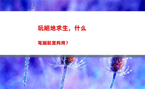 玩絕地求生，什么電腦配置夠用？(玩絕地求生什么顯卡好)