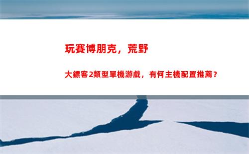 玩賽博朋克，荒野大鏢客2類型單機游戲，有何主機配置推薦？(荒野亂斗賽博朋克)插圖
