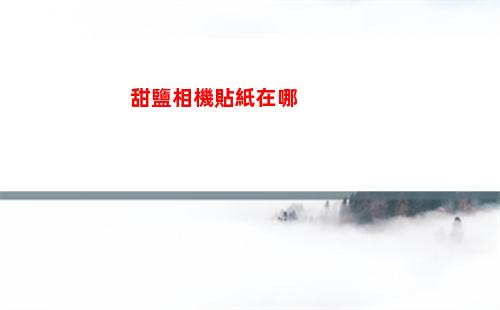 甜鹽相機貼紙在哪