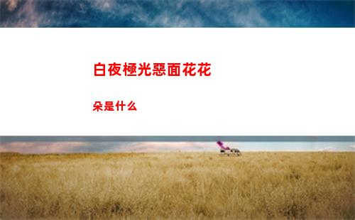 白夜極光卡池順序是什么