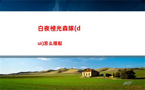 白夜極光森隊(duì)怎么搭配