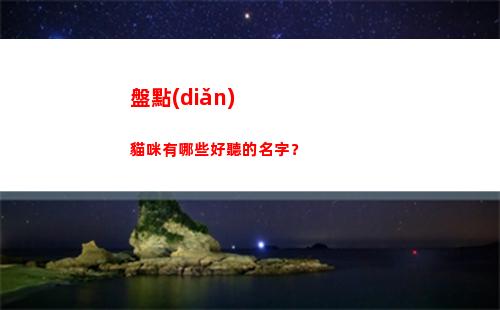 盤點(diǎn)貓咪有哪些好聽的名字？