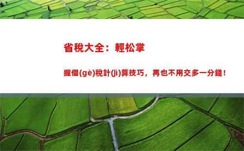 個(gè)人所得稅綜合年度所得(個(gè)人所得稅綜合年度所得稅率表)