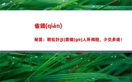 個(gè)人所得稅匯算地(個(gè)人所得稅匯算地選擇后可以變更嗎)