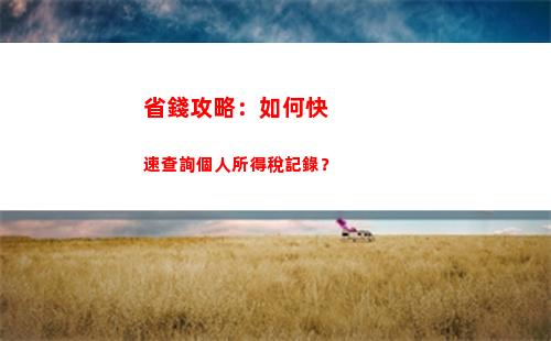 個人所得稅去哪里查詢(個人所得稅去哪里查詢辦理)
