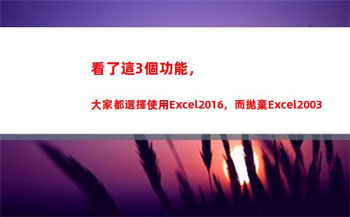 看了這3個功能，大家都選擇使用Excel2016，而拋棄Excel2003(這是個什么功能)
