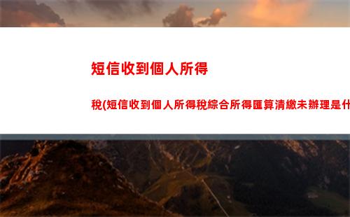 經營所得個人所得稅論文(個人所得稅經營所得b表申報)