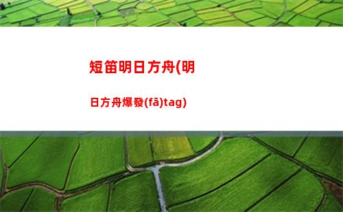 a站明日方舟(明日方舟p站圖)
