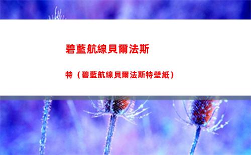 碧藍航線貝爾法斯特（碧藍航線貝爾法斯特壁紙）
