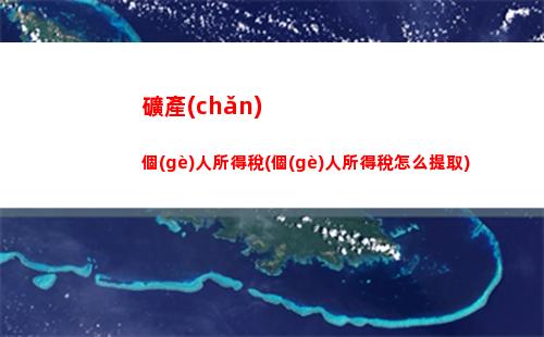 美國股息所得個(gè)人所得稅(個(gè)人取得股息紅利所得怎么納個(gè)人所得稅)