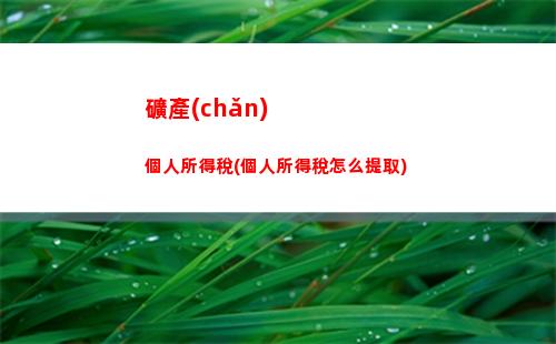 美國股息所得個人所得稅(個人取得股息紅利所得怎么納個人所得稅)