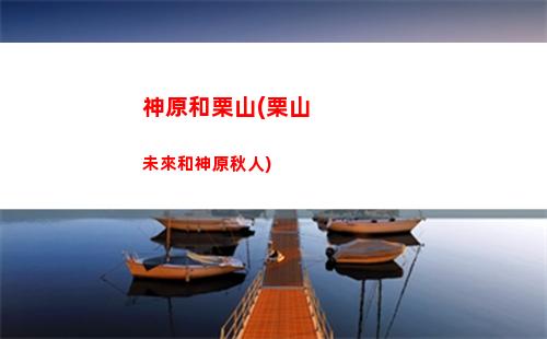 恰原神飯