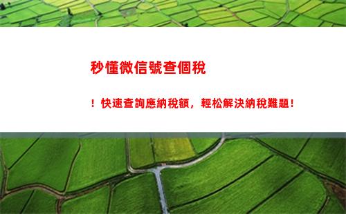輕松查詢個人所得稅預繳情況，不到一分鐘，就在這里！