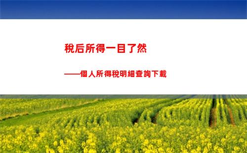個人所得稅插座(個人所得稅插座查詢)